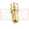 Goldkontakt-Stecker (3,5mm)