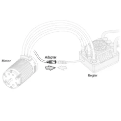 Hobbywing Motorsensor-Kabelkonverter