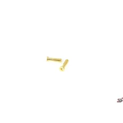 MR33 Gold Connector 4mm (2)