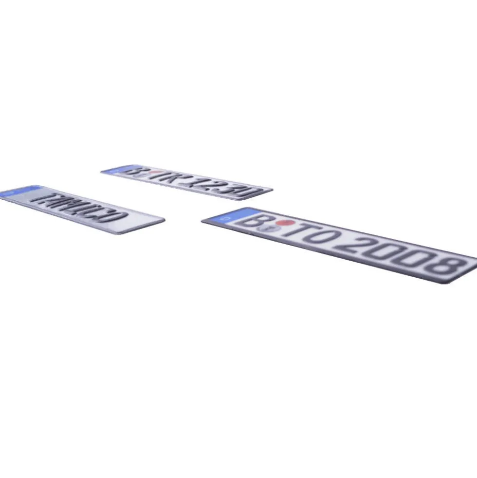 Tamico Kennzeichen "TAMICO" Deutschland EU 1:10 3D 2er Set