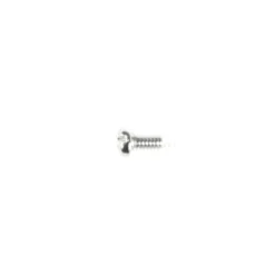 Tamiya Schraube 2x4mm (10 Stk.) #9804158
